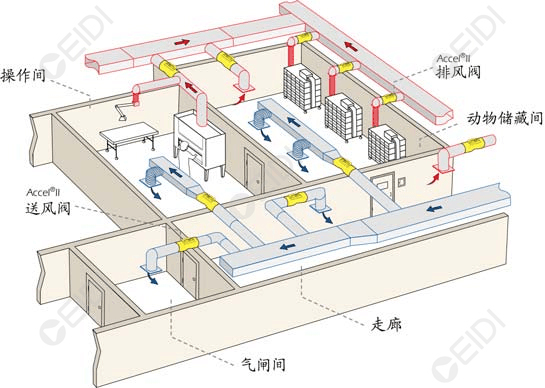 動物房潔凈室空調(diào)設(shè)計：開放式籠架具屏障環(huán)境送回風設(shè)計要點  CEIDI西遞